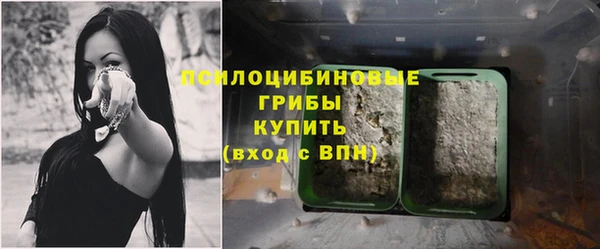 не бодяженный Весьегонск