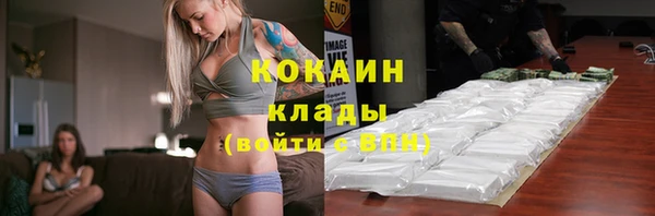 a pvp Гусев