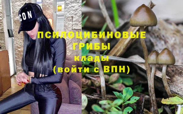 мескалин Гусь-Хрустальный