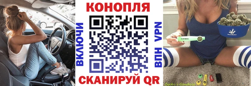 как найти   Железноводск  Марихуана планчик 